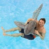 image:imageRideOn Shark Pool Toy